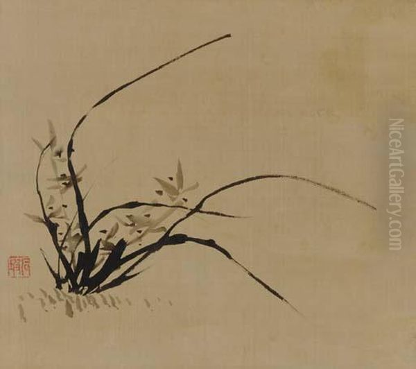 Orchid - view 1