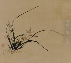 Orchid by Yi Haung