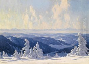 Firtrees In Winter