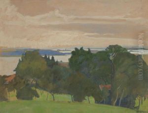 Chiemsee Landschaft. by Alfred Haushofer