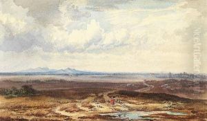 Harzlandschaft