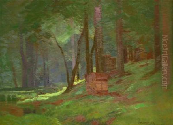 Inside A Forest - view 1