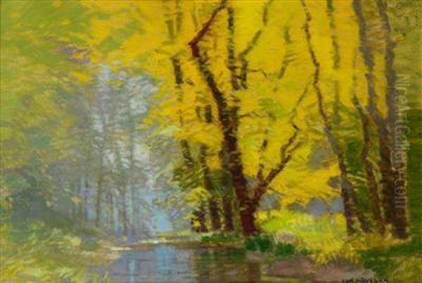 A Forest Brook - view 1