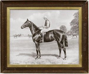 Studies Of Racehorses, A Collection Of Seven Photographic Prints