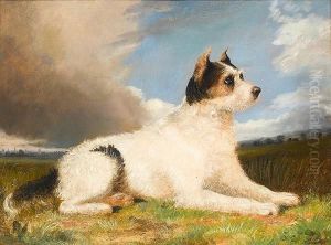 A Terrier In A Landscape A Terrier In A Landscape