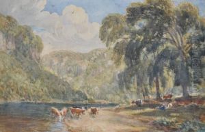 Cattle Watering At The River