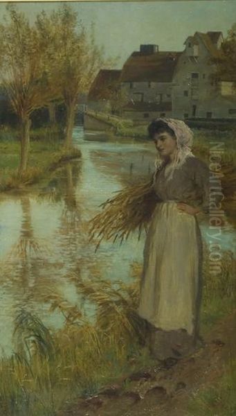 The Rush Gatherer - view 1