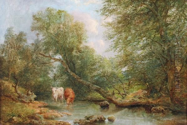 Cattle Watering In A Pond - view 1