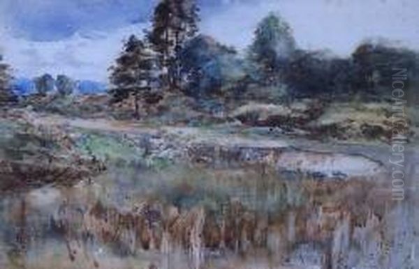 Moorland - view 1