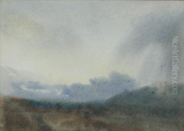 A Cloudy Sunset - view 1