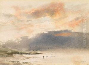 Seenlandschaft Mit Mowen