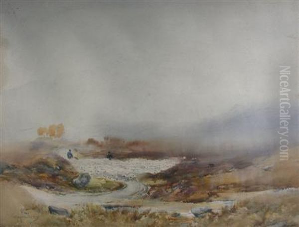 Morning Mist, Invernesshire - view 1