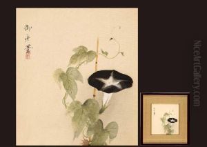 Morning Glory by Gyoshu Hayami