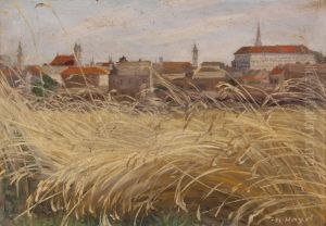 Blick Auf Linz by Karl Hayd