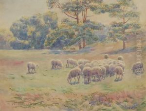 Sheep Pasture