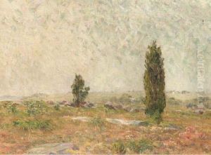 Summer Landscape