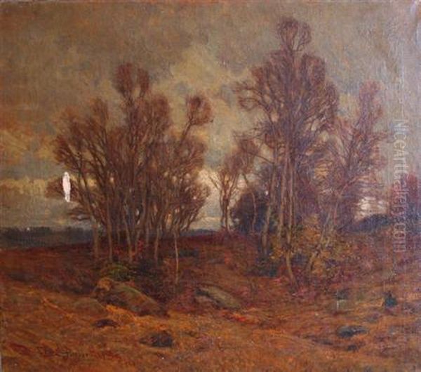 November - view 1