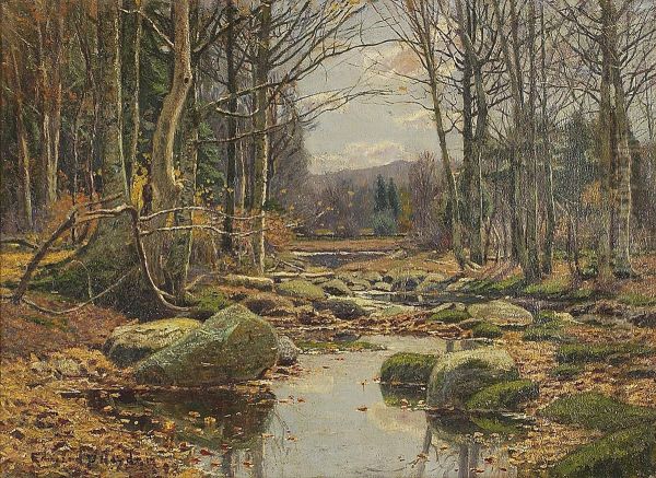 Forest Interior With Stream - view 1