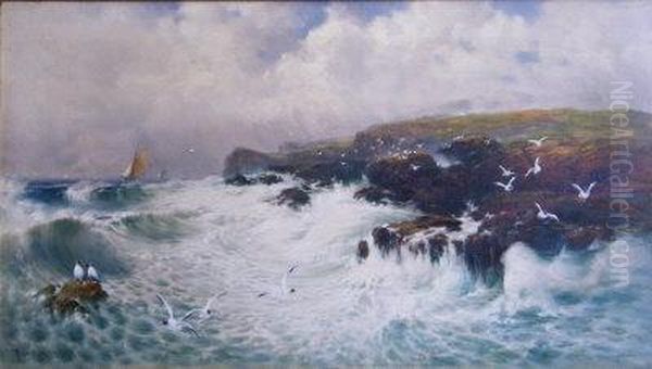 The Coast. - view 1
