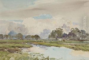 Cattle By A Stream