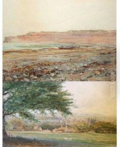 "on The Beach 
Studland"