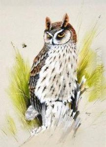 Long Eared Owl
