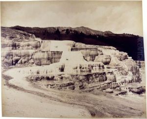 Yellow Stone, Minerva Terrace by Frank Jay Haynes