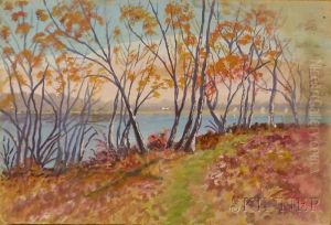 Landscape Views. by George Arthur Hays