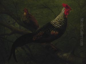 Pheasants by William Jacob Hays