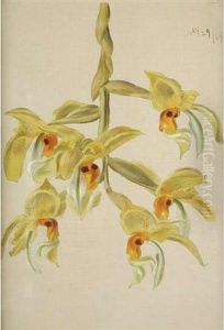Branch Of Six Yellow Orchids by William Jacob Hays