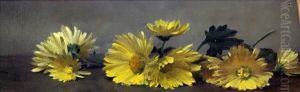 Still Life Of Daisies
