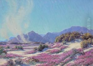 Pink Wildflowers In A Landscape With Dust Devils In The Distance