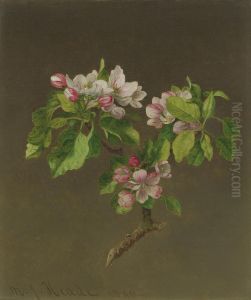 Apple Blossoms