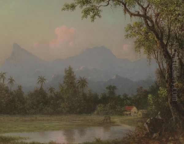 South American Scene With A Cabin - view 1