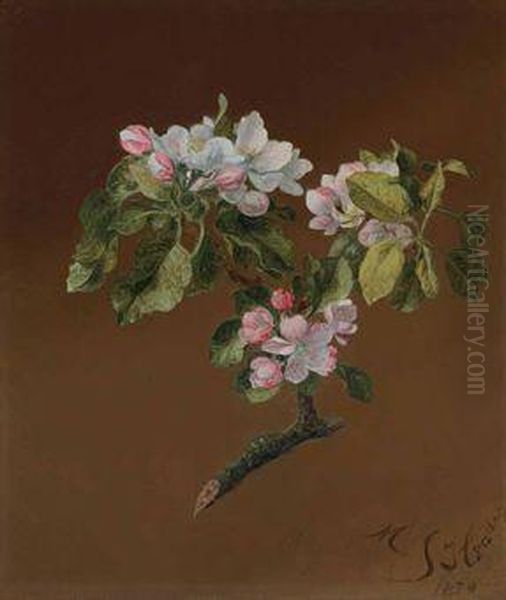 Spray Of Apple Blossoms - view 1