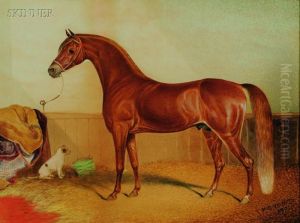 Portrait Of A Horse by Hyder Jung Hearsey