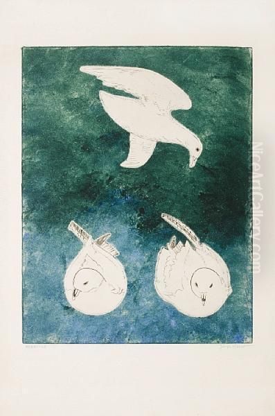 Seagulls - view 1