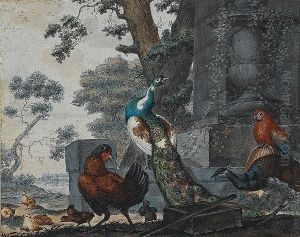A Peacock And A Peahen With A Parrot And A Cockerel In A Park Landscape