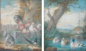 Basse-cour Et Canards Deux by J.F. Hefele