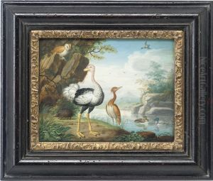 Exotic Birds And An Owl On The Banks Of A River