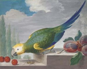 A Green Parrot On A Ledge Pecking At Cherries, With A Grasshopperbelow by J.F. Hefele
