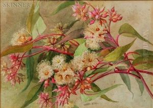 Eucalyptus Gunni by Maria Teresa Hegg