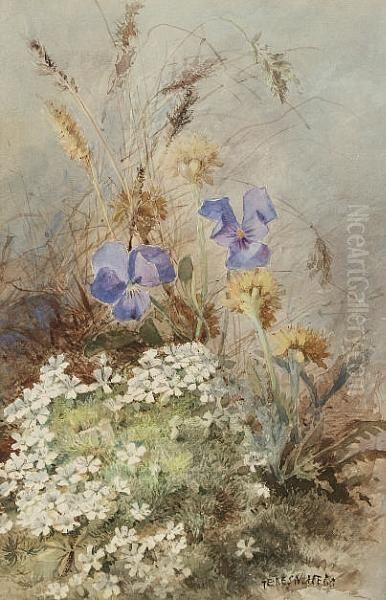 Study Of Wild Flowers - view 1