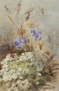 Study Of Wild Flowers by Maria Teresa Hegg