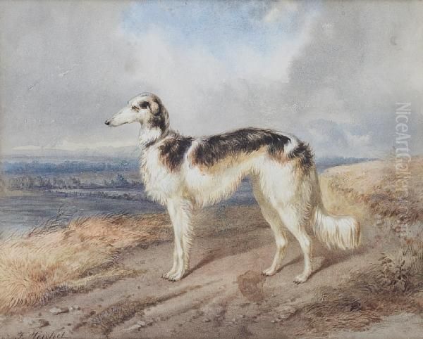 Portrait Of A Borzoi In A Landscape - view 1