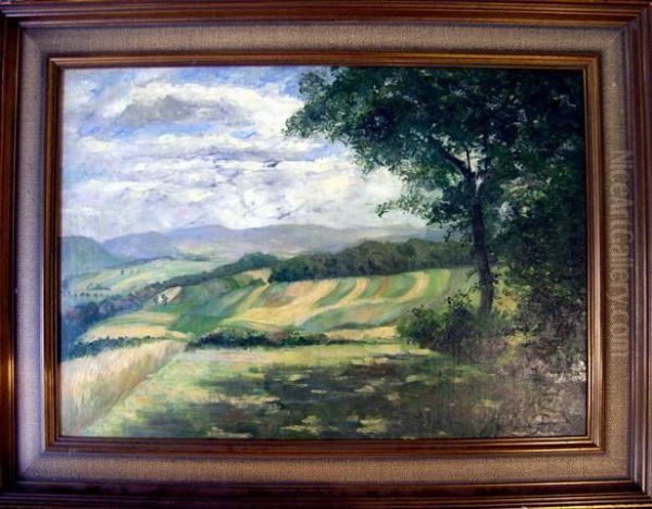 Chiemsee - view 1