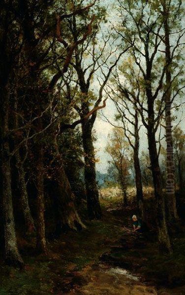 A Woman Gathering Wood In A Forest - view 1