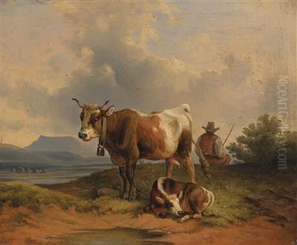 Herdsmanresting - view 1