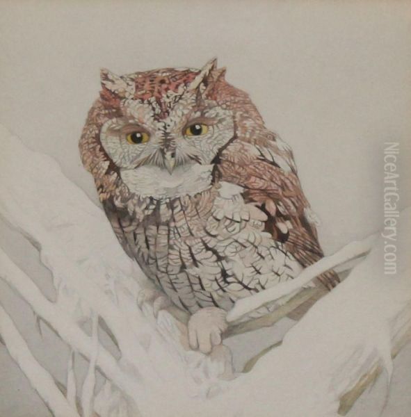 Owl On A Snowy Tree Branch - view 1