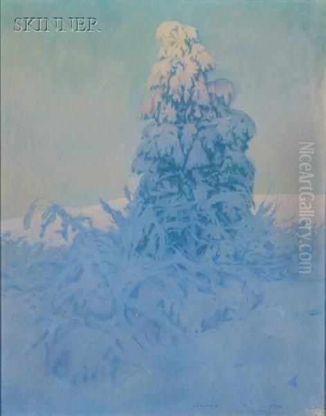 Late Afternoon, Winter - view 1